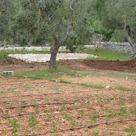 Trullo Gaio - -valle D'itria- オストゥーニ